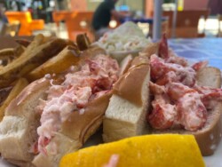 Lobster Rolls